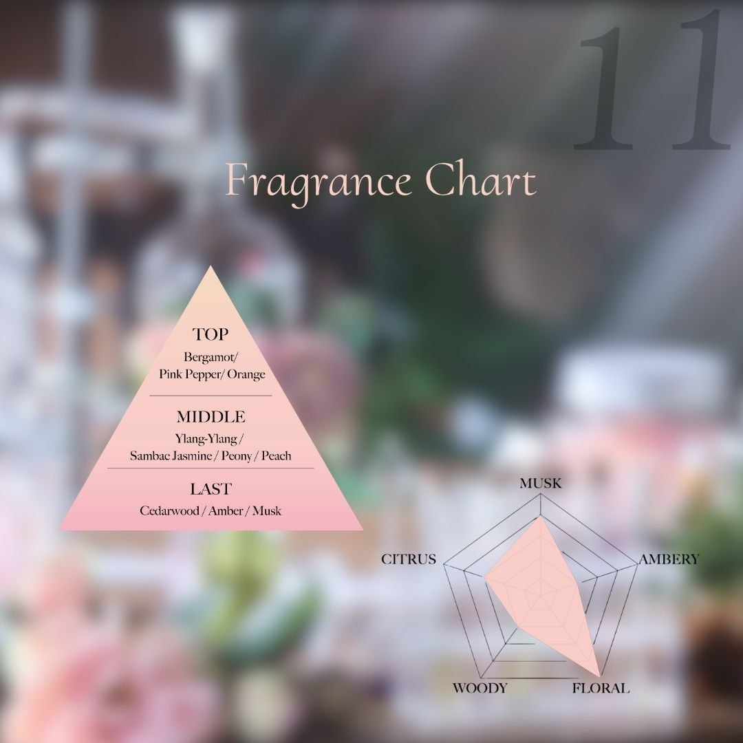 11 Roll On Perfume Oil 10ml | Aimetoi